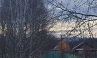 Медведь пытался забраться в школу по водосточной трубе