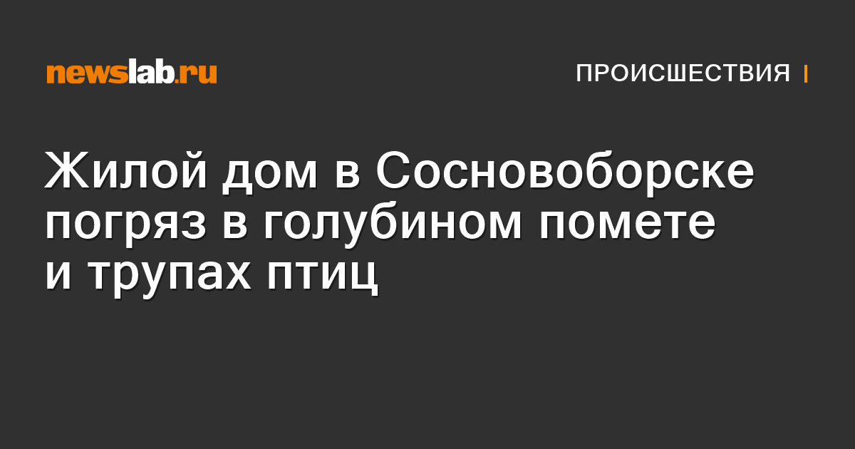         Жилой дом вСосновоборске погряз вголубином помете итрупах птиц  Происшествия Красноярска и Красноярского края         Newslab.Ru