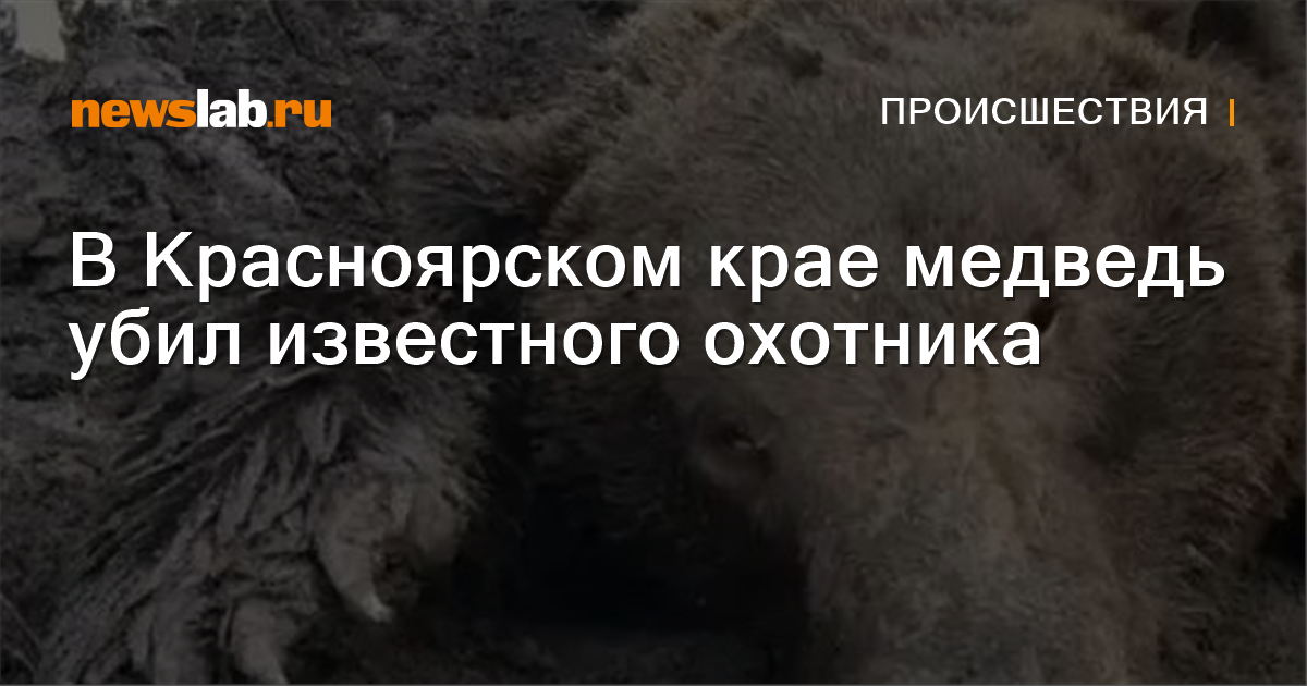 Bear kills well-known hunter in Russia’s Krasnoyarsk region