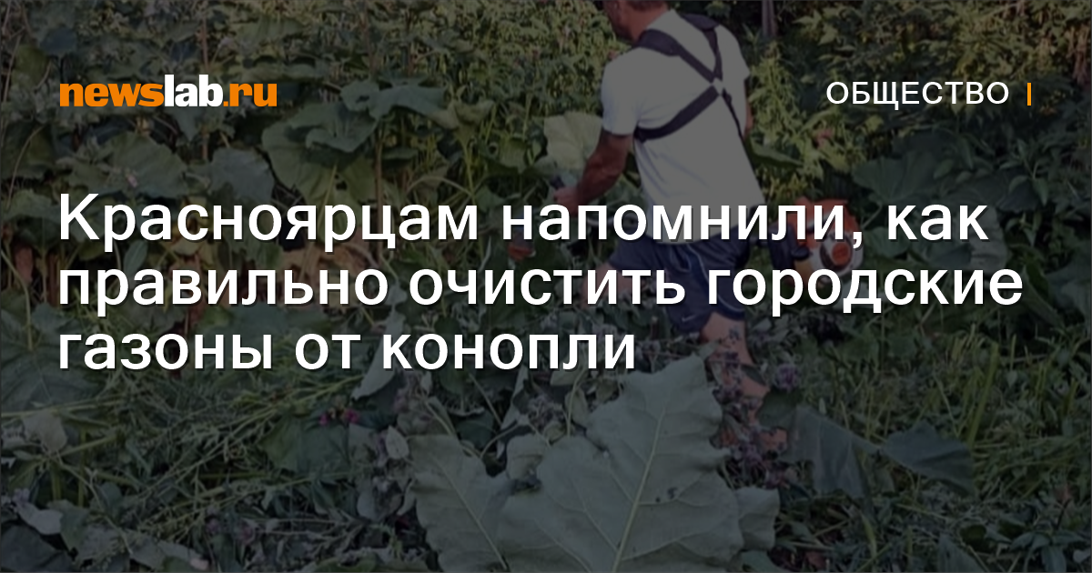 Рулонный газон - цена за м2, купить в Москве от производителя оптом