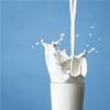 Закупочная цена на молоко в Красноярском крае не покрывает расходы фермеров