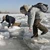 В Зеленогорске со льдины спасли детей