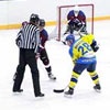 В Красноярском крае стартует хоккейный сезон		