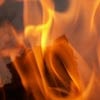 В Красноярском крае за три дня каникул на пожарах погибли 9 человек
