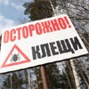 В окрестностях Красноярска активизируются клещи
