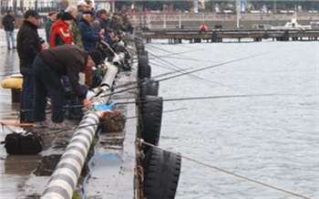 Рыба стала золотой 