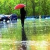 Красноярск ждет теплая и дождливая неделя 