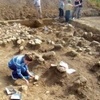 На раскопках в Туве нашли бронзовые удила IX-VI веков до нашей эры 