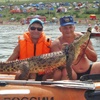 Спасатели поймали крокодила на озере Шира (фото) 