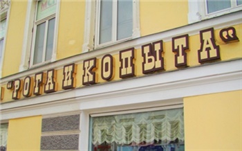 В тюрьму за фирму-однодневку?