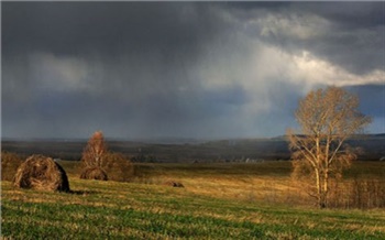 Одинцов огорчил депутатов
