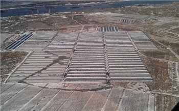 Нужен закон о помидорах