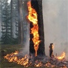 В Красноярском крае горит 626 га леса
