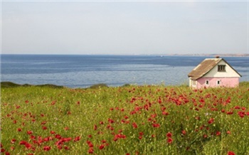 Многодетным все-таки дадут землю