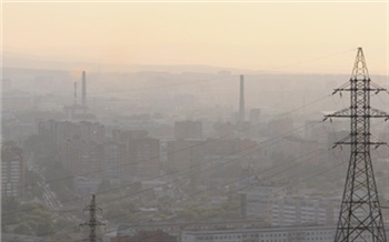 Бережному отношению к природе необходимо учить с детсада
