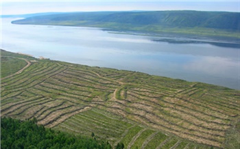 Нижнее Приангарье: как развивать территорию и сохранять экосистему? 