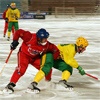 Красноярск готов к первенству мира по хоккею с мячом, заявил министр
