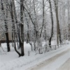 Наступившая неделя в Красноярске будет теплой и снежной