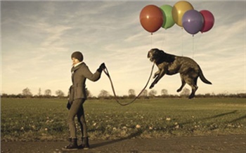 Собачья нужда