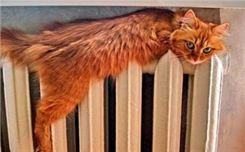 Замени батареи