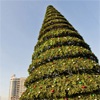 Новогодняя елка в Красноярске простоит до начала марта