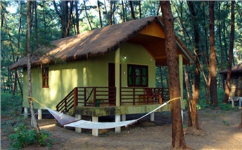 Дачи в Красноярске: сезон открыт