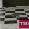 Красноярская телекомпания показала бегающую крысу на открытии театра Пушкина (видео)