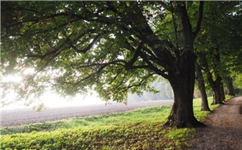 Клеща не бояться и в лес ходить