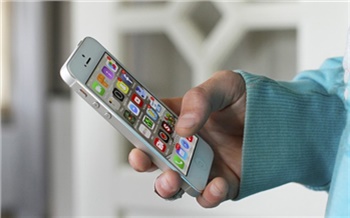 Лучший интернет для медведей