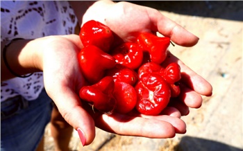 Тай-блог: самые невкусные фрукты Азии