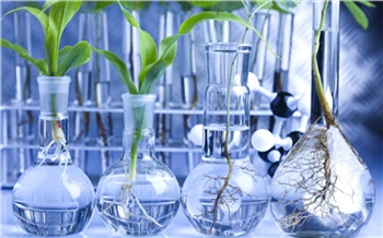 Топ проектов красноярских ученых в сфере биотехнологий