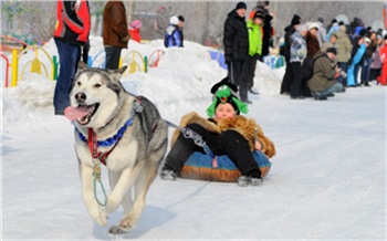 Чем заняться в новогодние каникулы