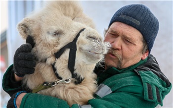 Как устроен «Роев ручей»