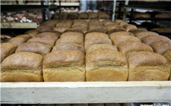 Как открыть свой хлебозавод в Красноярске