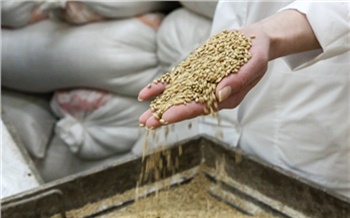 Как это сделано: «живой» хлеб без муки