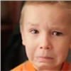 Емельяновский суд вынес решение о компенсации ущерба покусанному алабаем ребенку (видео)