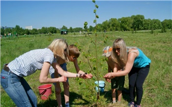 Как это сделано: парк родовых деревьев