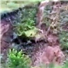 Мощный грязевой поток под красноярской «Орбитой» сняли на видео