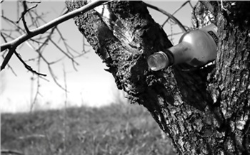 Хроники спивающейся России