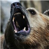 На севере Красноярского края вышедший к людям медведь напал на охотника