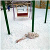 Дети нашли мешок с костями в красноярском Солнечном 