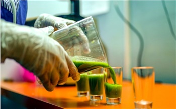 Как это сделано: сок из ростков пшеницы «Витграсс»