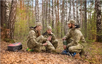 Клещей бояться — в лес не ходить
