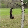 «Плачущего» медвежонка из Тувы выпустят на волю в Башкирии