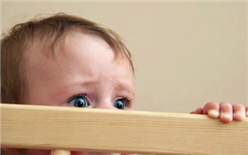 «Загаженные спальни и запуганные дети»: за что бранят частные детсады Красноярска?