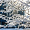 Красноярский ученый дал прогноз на грядущую зиму