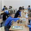 В красноярской школе ввели обязательное обучение игре в шахматы