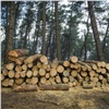 Незаконно вырубившие лес на 9,5 млн рублей рабочие не понесут никакого наказания 