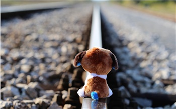 «В обычной школе Красноярска были свои солдаты и рабы»: откровения детского психолога