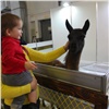 Выставка животных и детская ярмарка открылись в красноярской «Сибири»